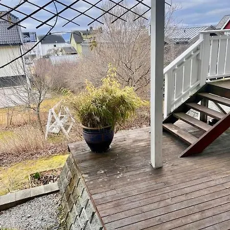 Cozy One-bedroom With A View Apartment *