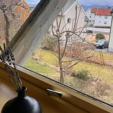 Apartment Cozy One-bedroom With A View