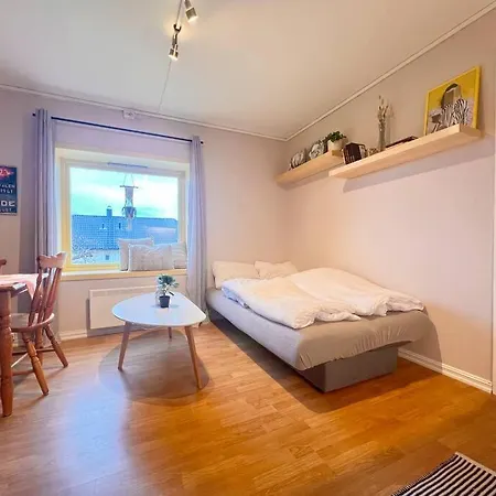 Cozy One-bedroom With A View Apartment