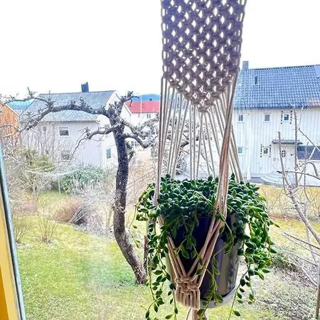 Cozy One-bedroom With A View Molde